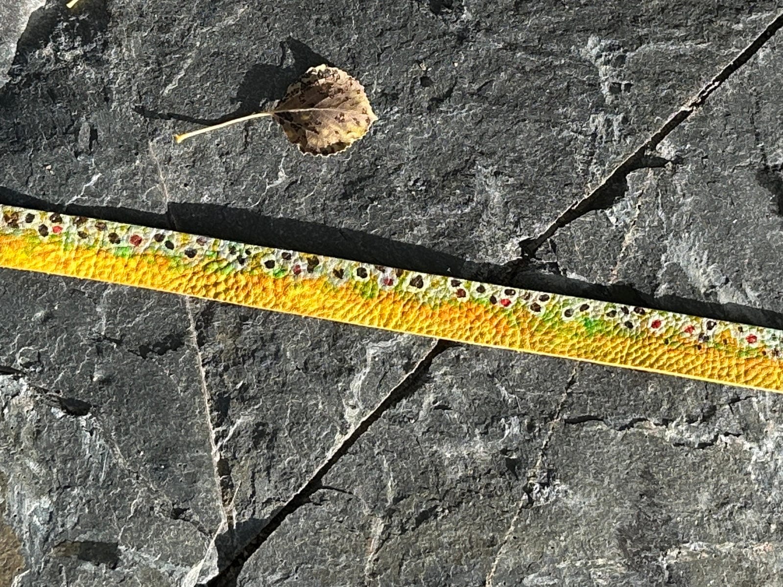 Bridger Leather Brown Trout Hatband